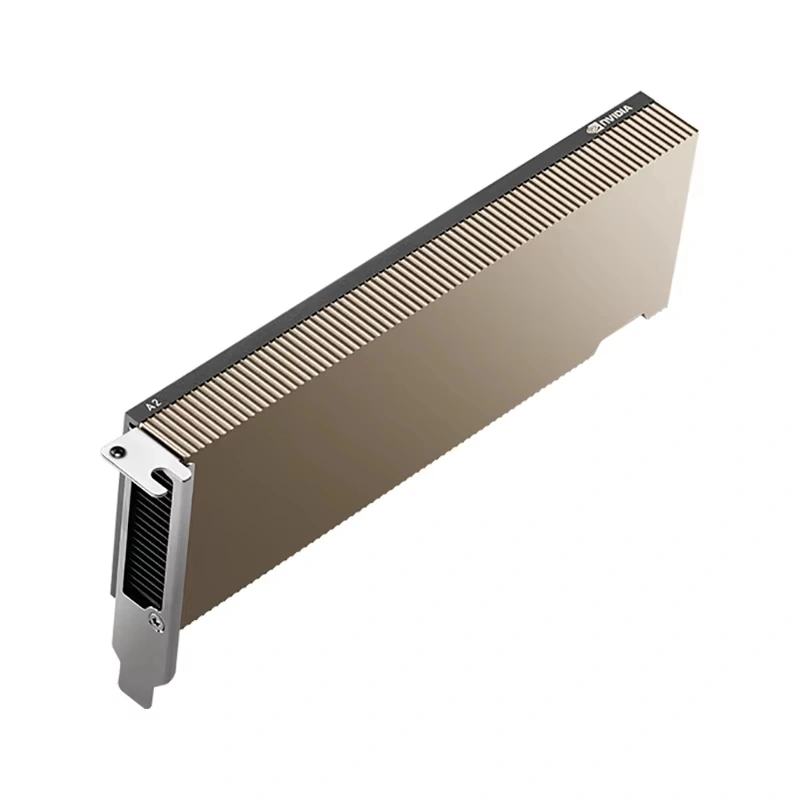 Scheda grafica A2 16G